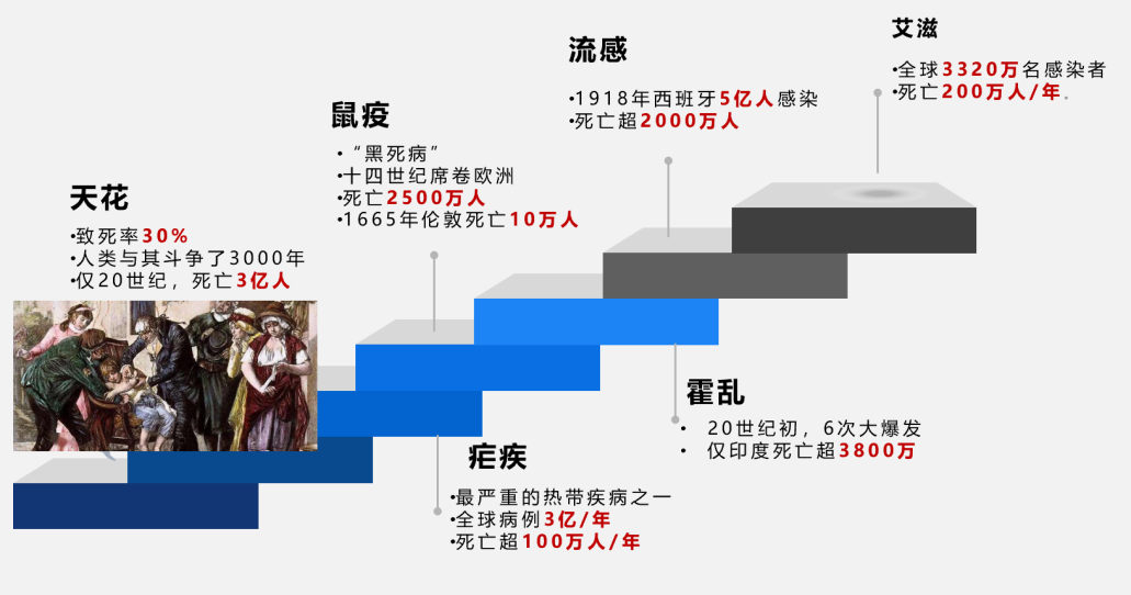 香港全年最全免费资料大全