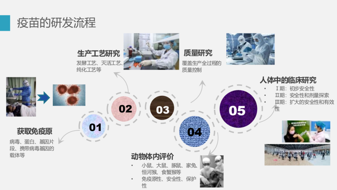 香港全年最全免费资料大全